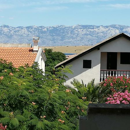 Apartman Zidak Vir Zewnętrze zdjęcie